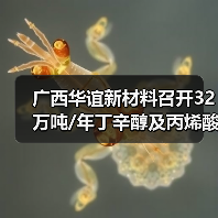 广西华谊新材料召开32万吨/年丁辛醇及丙烯酸酯项目基础工程设计内部审查会（图3）
