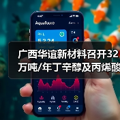 广西华谊新材料召开32万吨/年丁辛醇及丙烯酸酯项目基础工程设计内部审查会（图2）