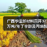广西华谊新材料召开32万吨/年丁辛醇及丙烯酸酯项目基础工程设计内部审查会 广西华谊新材料召开32万吨/年丁辛醇及丙烯酸酯项目基础工程设计内部审查会