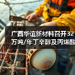 广西华谊新材料召开32万吨/年丁辛醇及丙烯酸酯项目基础工程设计内部审查会（图4）