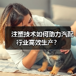 注塑技术如何助力汽配行业高效生产?(图3) 注塑技术如何助力汽配行业高效生产?(图3)