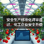 安全生产标准化评审通过,化工企业安全升级新路径(图3) 安全生产标准化评审通过,化工企业安全升级新路径(图3)