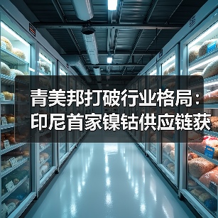 青美邦打破行业格局:印尼首家镍钴供应链获RMI认证 青美邦打破行业格局:印尼首家镍钴供应链获RMI认证