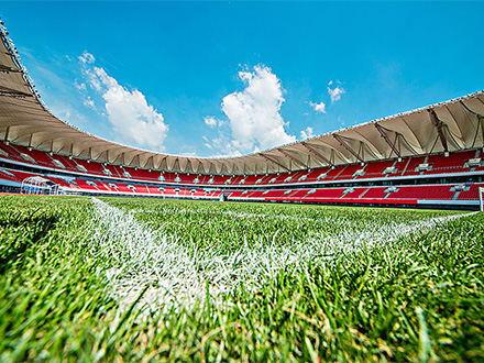 省级体育中心标准体育场塑胶跑道工程