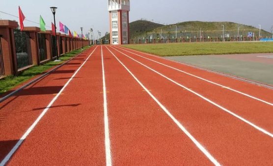 塑胶跑道将进入大品牌时代(图2) 塑胶跑道将进入大品牌时代(图2)