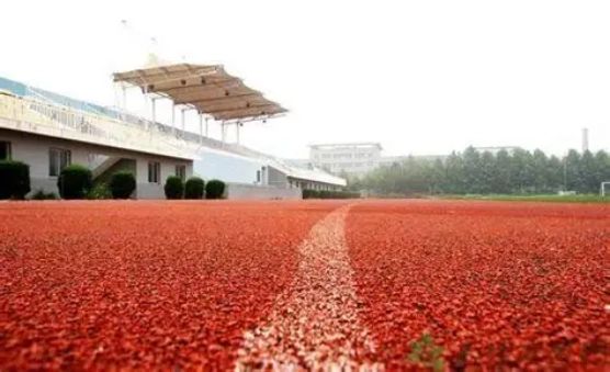 塑胶跑道将进入大品牌时代(图3) 塑胶跑道将进入大品牌时代(图3)