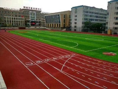 晟胜地坪材料产家详解塑胶球场EPDM颗粒优势(图3)