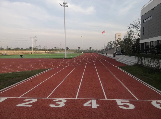 省级体育中心标准体育场塑胶跑道工程(图2) 省级体育中心标准体育场塑胶跑道工程(图2)