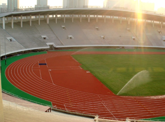 省级体育中心标准体育场塑胶跑道工程(图3) 省级体育中心标准体育场塑胶跑道工程(图3)