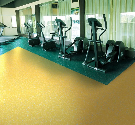 晟胜全塑型PVC运动地板（健身房专用）