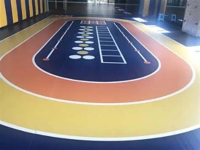 晟胜 运动地胶拼接系统 多功能体育馆与训练场馆